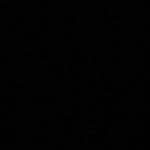 Meet your Posher, Desirae